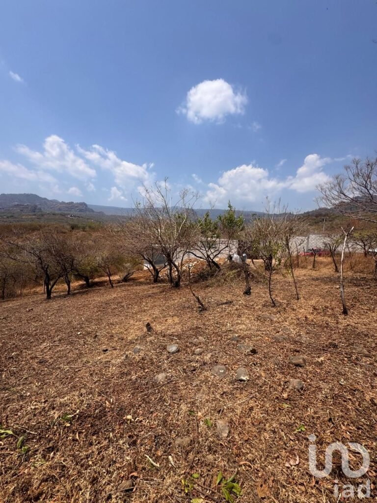 Terreno en Venta en Amatlán de Quetzalcóatl, con vistas a las montañas.