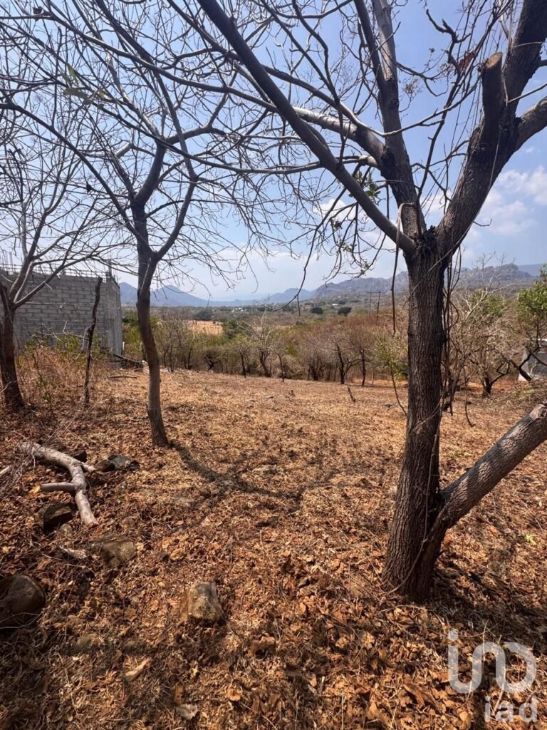 Terreno en Venta en Amatlán de Quetzalcóatl, con vistas a las montañas.