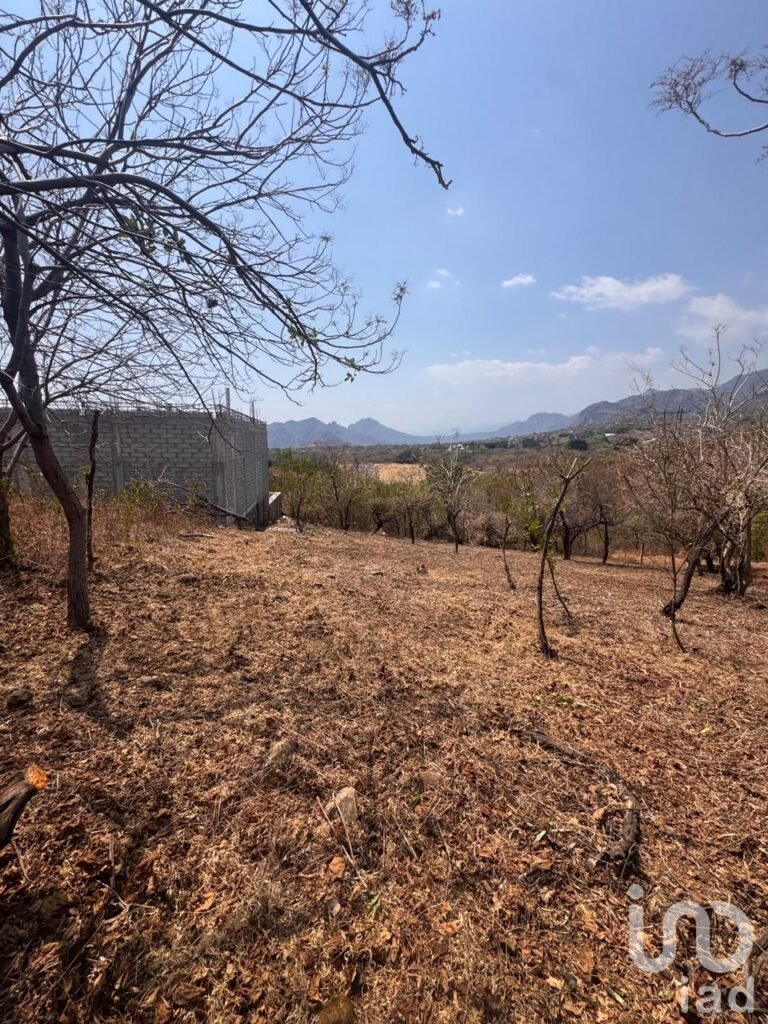 Terreno en Venta en Amatlán de Quetzalcóatl, con vistas a las montañas.