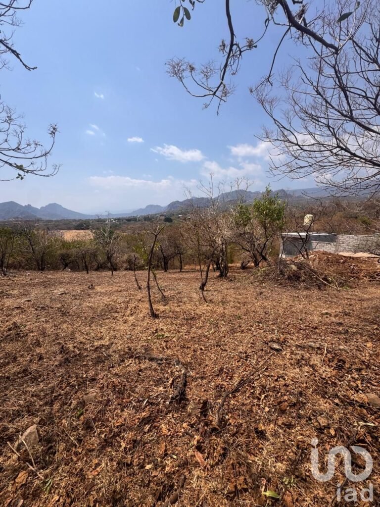 Terreno en Venta en Amatlán de Quetzalcóatl, con vistas a las montañas.