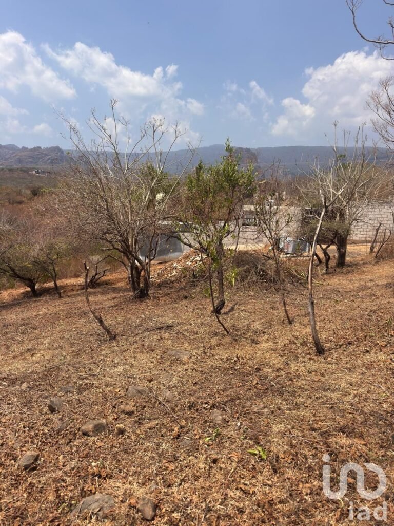 Terreno en Venta en Amatlán de Quetzalcóatl, con vistas a las montañas.