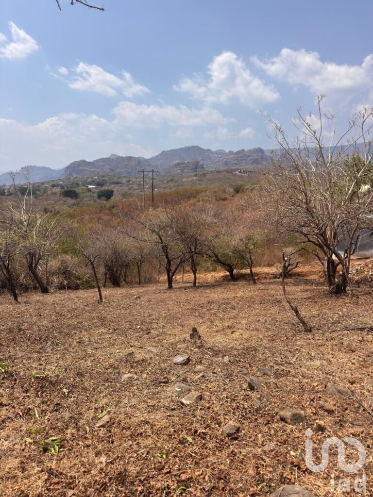 Terreno en Venta en Amatlán de Quetzalcóatl, con vistas a las montañas.
