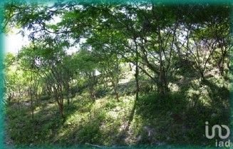 Terreno  en Venta con yacimiento de agua termal, Chietla , Puebla