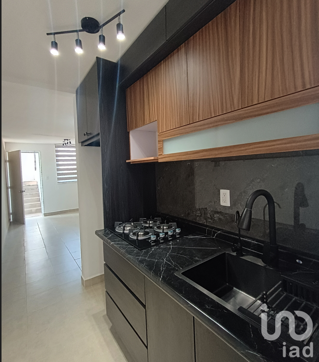 Circuito parque primavera