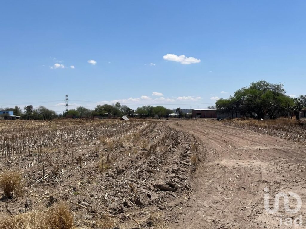 TERRENO EN VENTA EN MONTORO AGUASCALIENTES SUP. 12 HECTAREAS