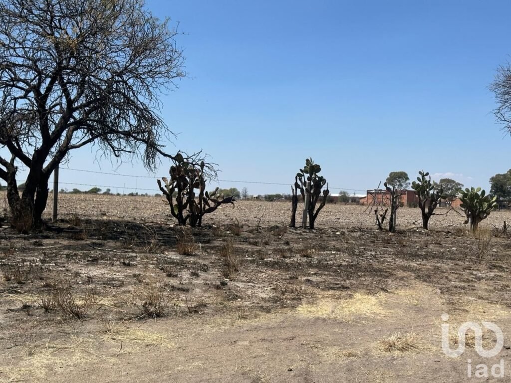 TERRENO EN VENTA EN MONTORO AGUASCALIENTES SUP. 12 HECTAREAS