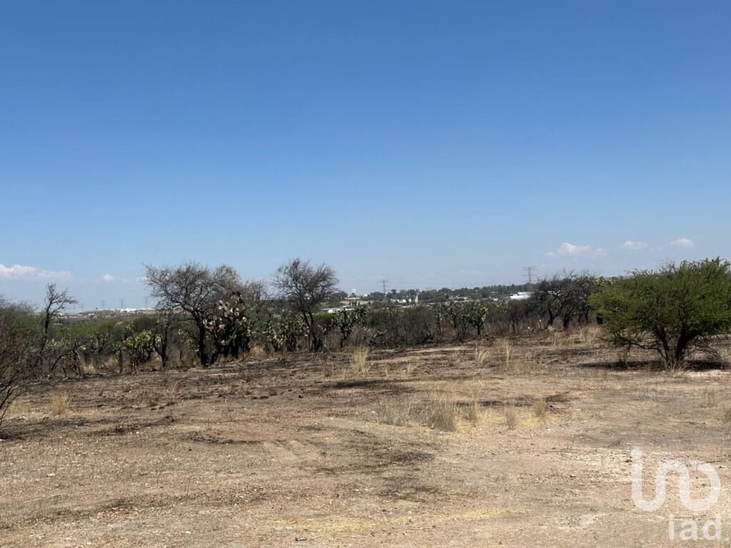 TERRENO EN VENTA EN MONTORO AGUASCALIENTES SUP. 12 HECTAREAS