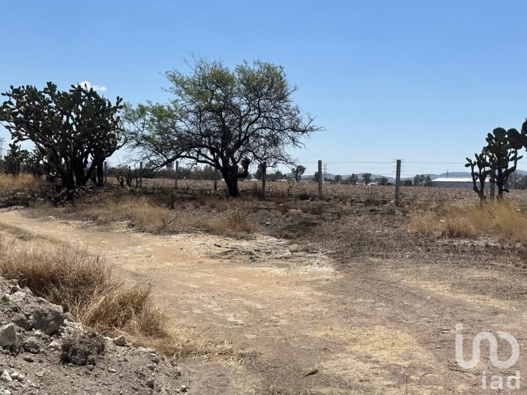 TERRENO EN VENTA EN MONTORO AGUASCALIENTES SUP. 12 HECTAREAS