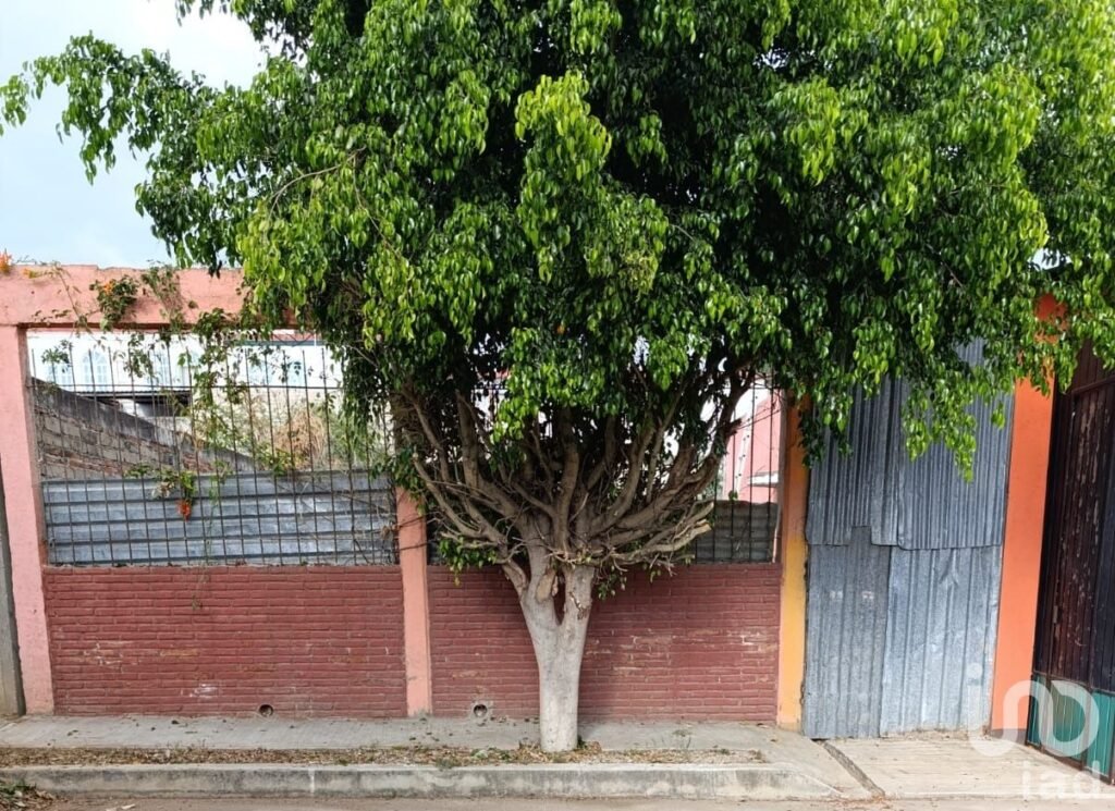Terreno en Venta, Oaxaca de Juárez, Col. del Maestro, a Cuadra y Media de la Universidad UGMEX