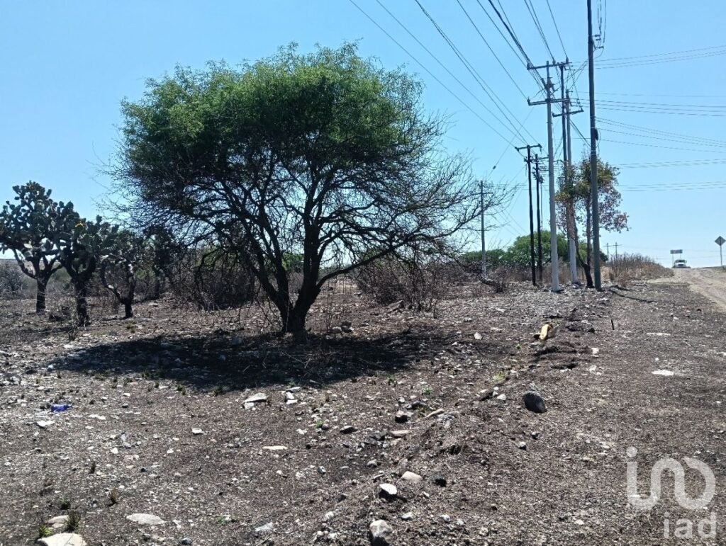 TERRENO EN VENTA CD MADERAS NORTE