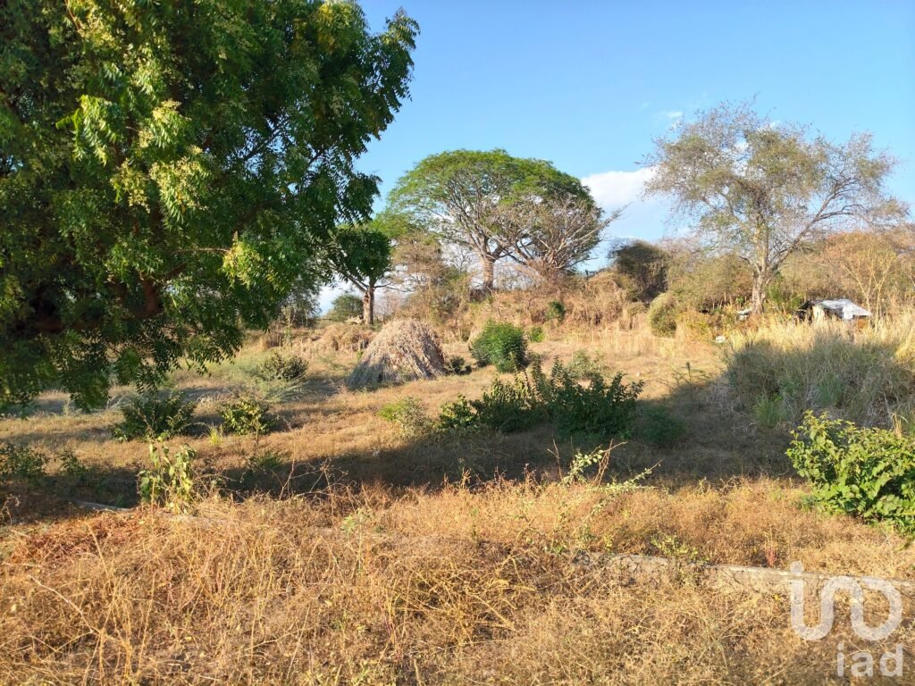 Terreno Campestre parte alta de Comala. Facilidades Pagos