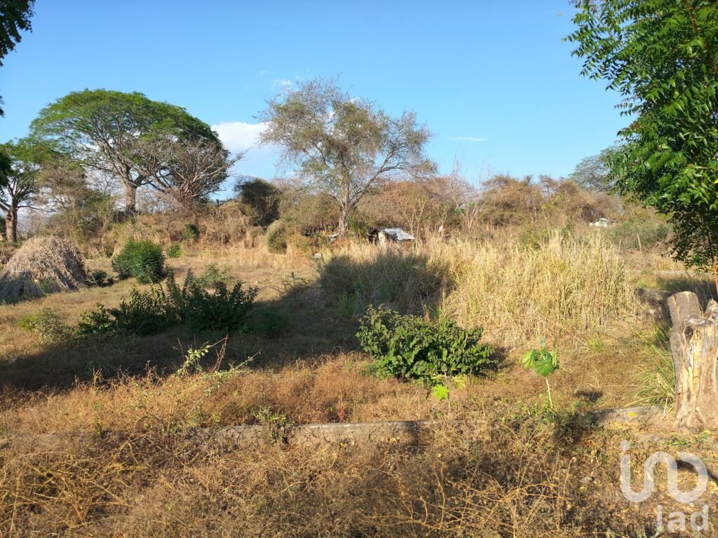 Terreno Campestre parte alta de Comala. Facilidades Pagos - 2356945 terreno en venta terreno campestre parte alta de comala facilidades pagos 294405