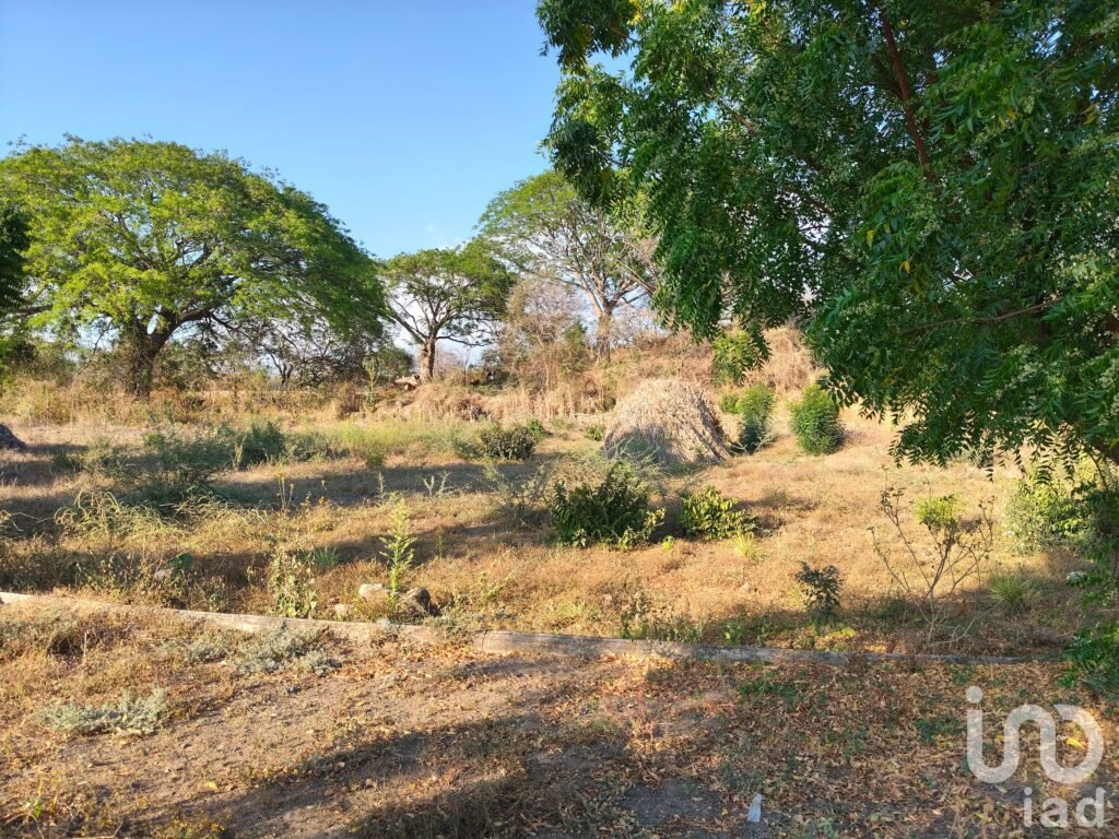Terreno Campestre parte alta de Comala. Facilidades Pagos