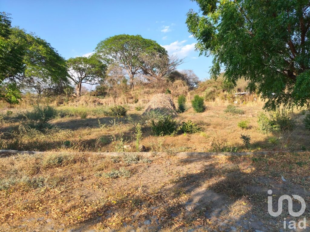 Terreno Campestre parte alta de Comala. Facilidades Pagos