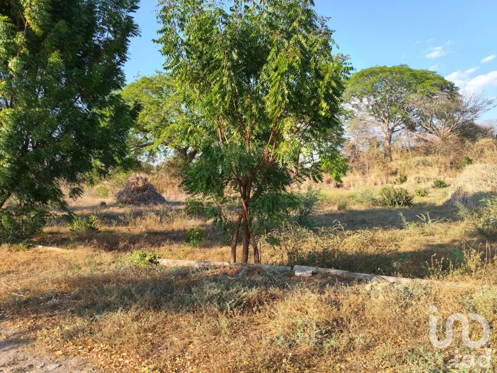 Terreno Campestre parte alta de Comala. Facilidades Pagos