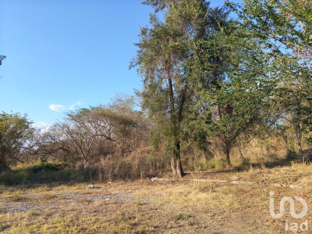 Terreno Campestre en Comala