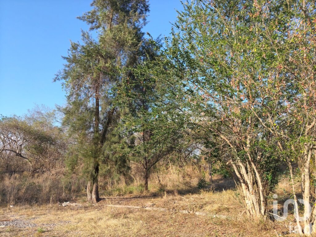 Terreno Campestre en Comala