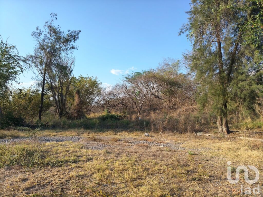 Terreno Campestre en Comala