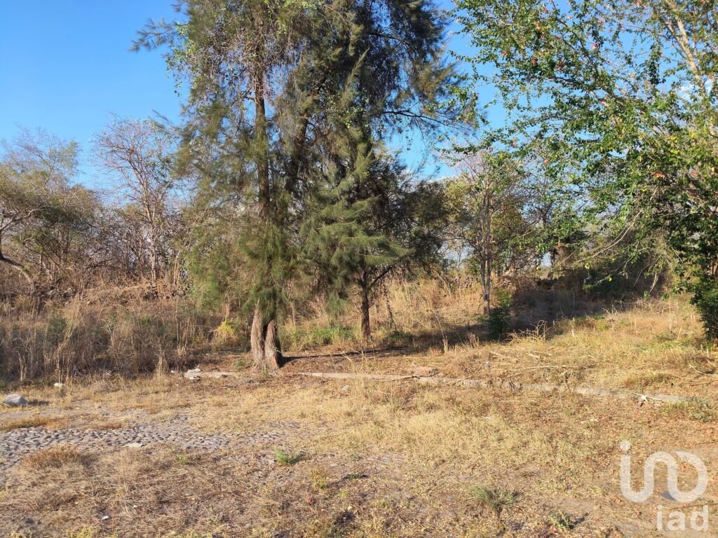 Terreno Campestre en Comala