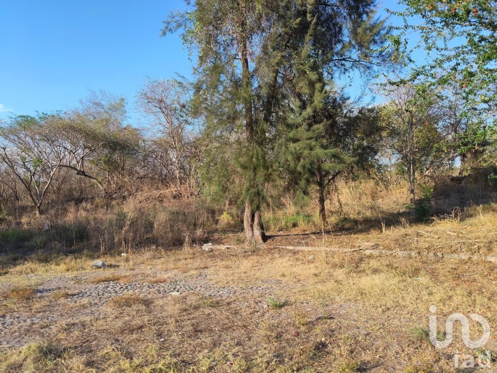 Terreno Campestre en Comala