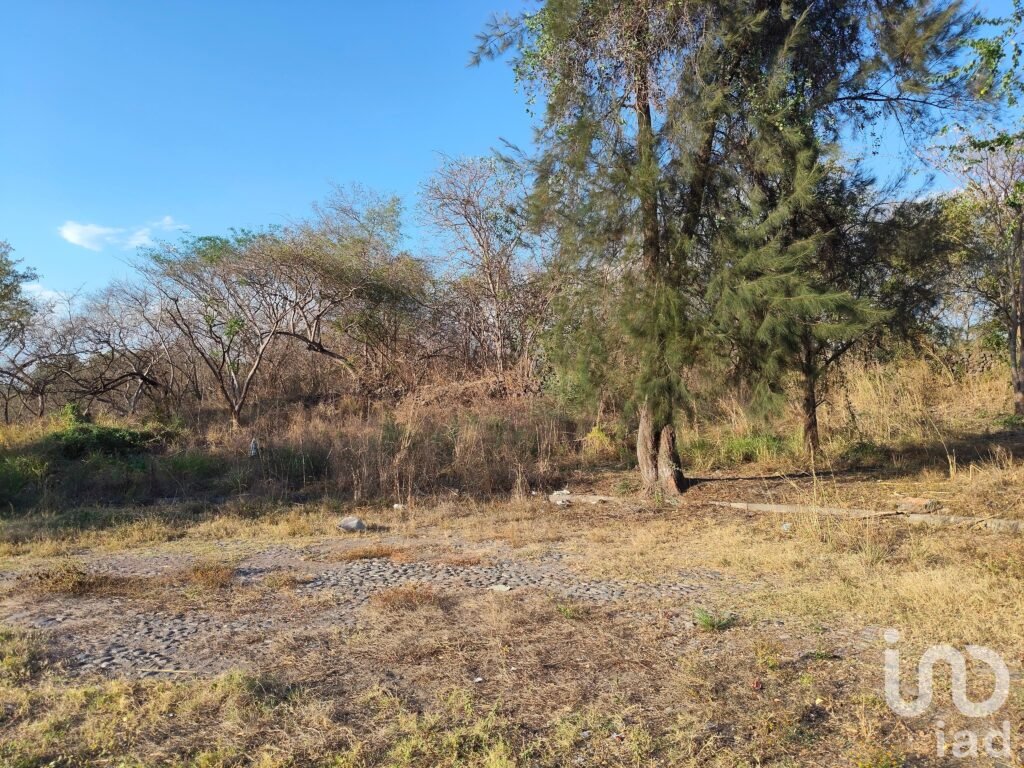 Terreno Campestre en Comala