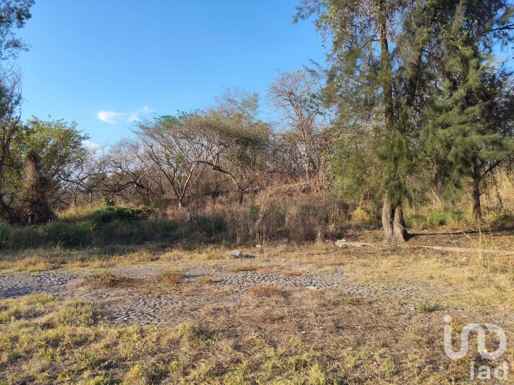 Terreno Campestre en Comala