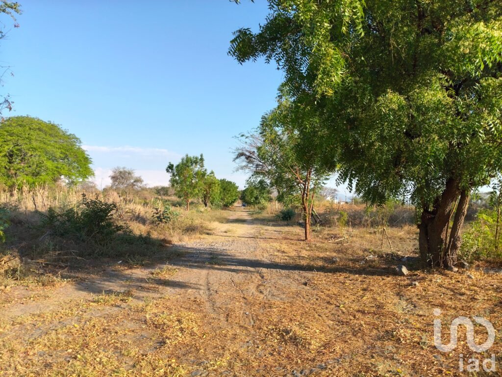 Terreno Campestre en Comala