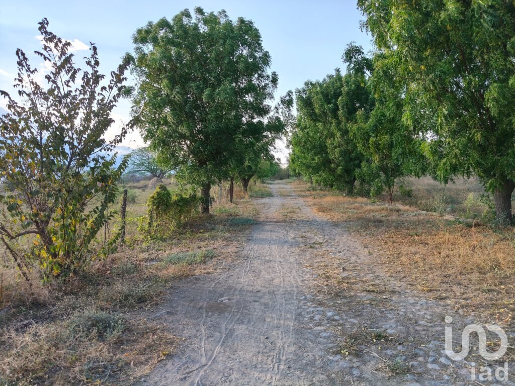 Terreno Campestre en Comala