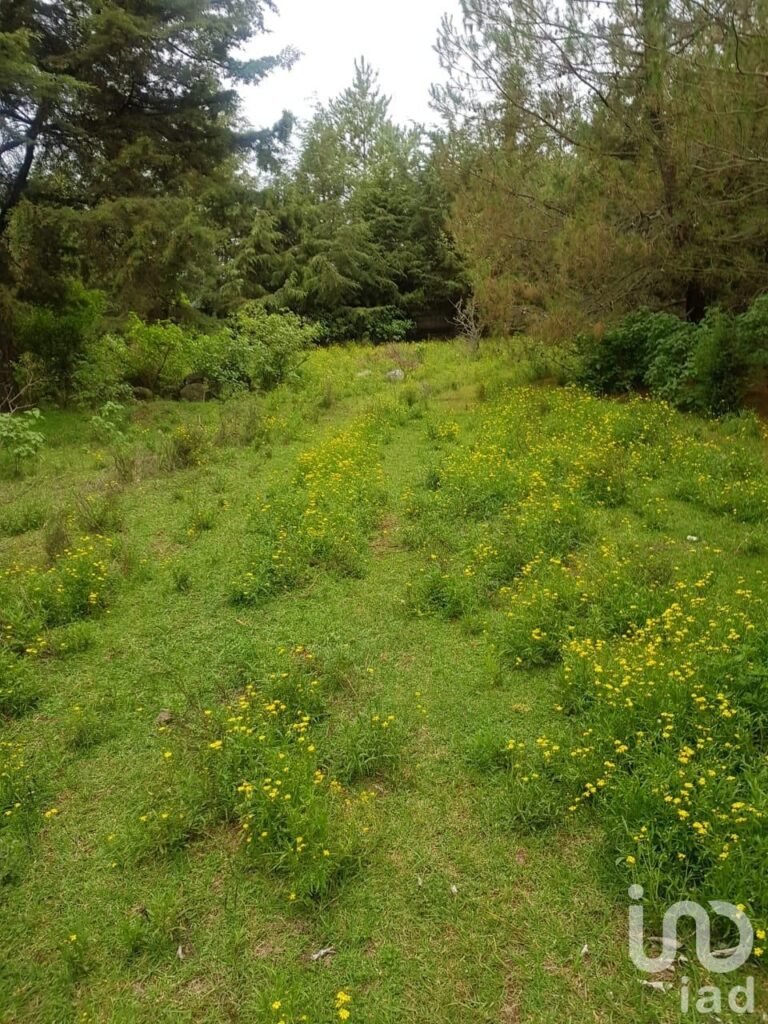 TERRENO EN CANALEJAS