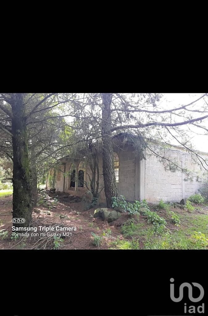 TERRENO EN CANALEJAS