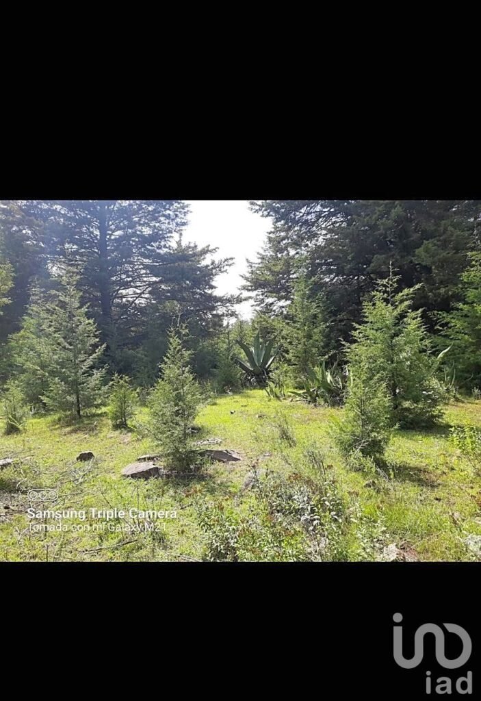 TERRENO EN CANALEJAS