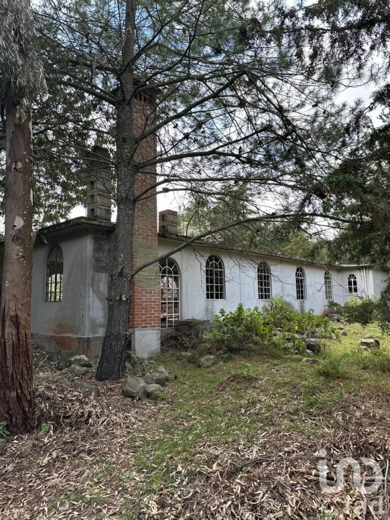 TERRENO EN CANALEJAS