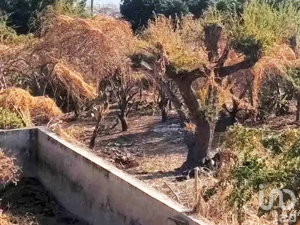 Venta de Terreno panorámico en Miacatlán, Morelos.