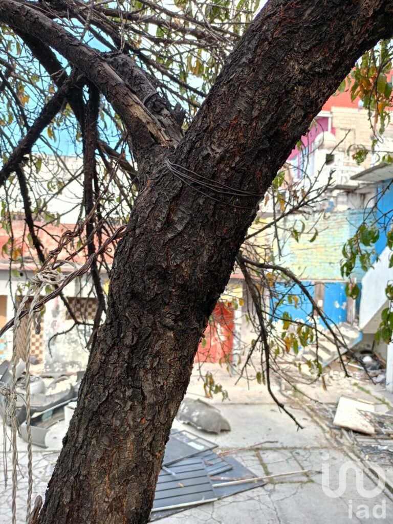 Terreno comercial en Venta en San José Río Hondo, Naucalpan, México