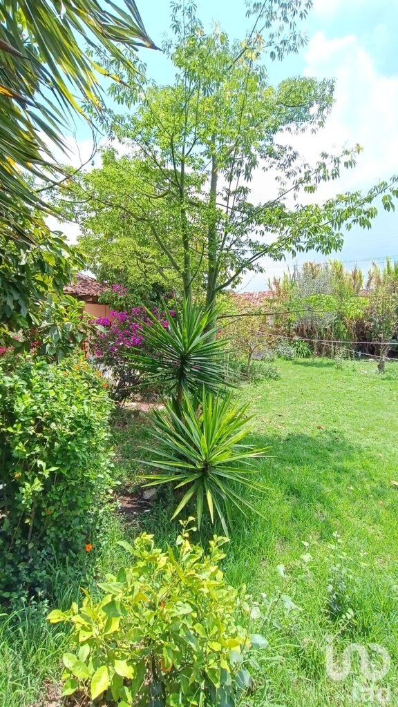 Departamento en Renta