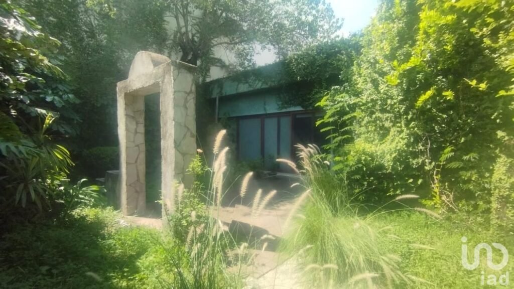 Se renta LOCAL en Av. Revolución