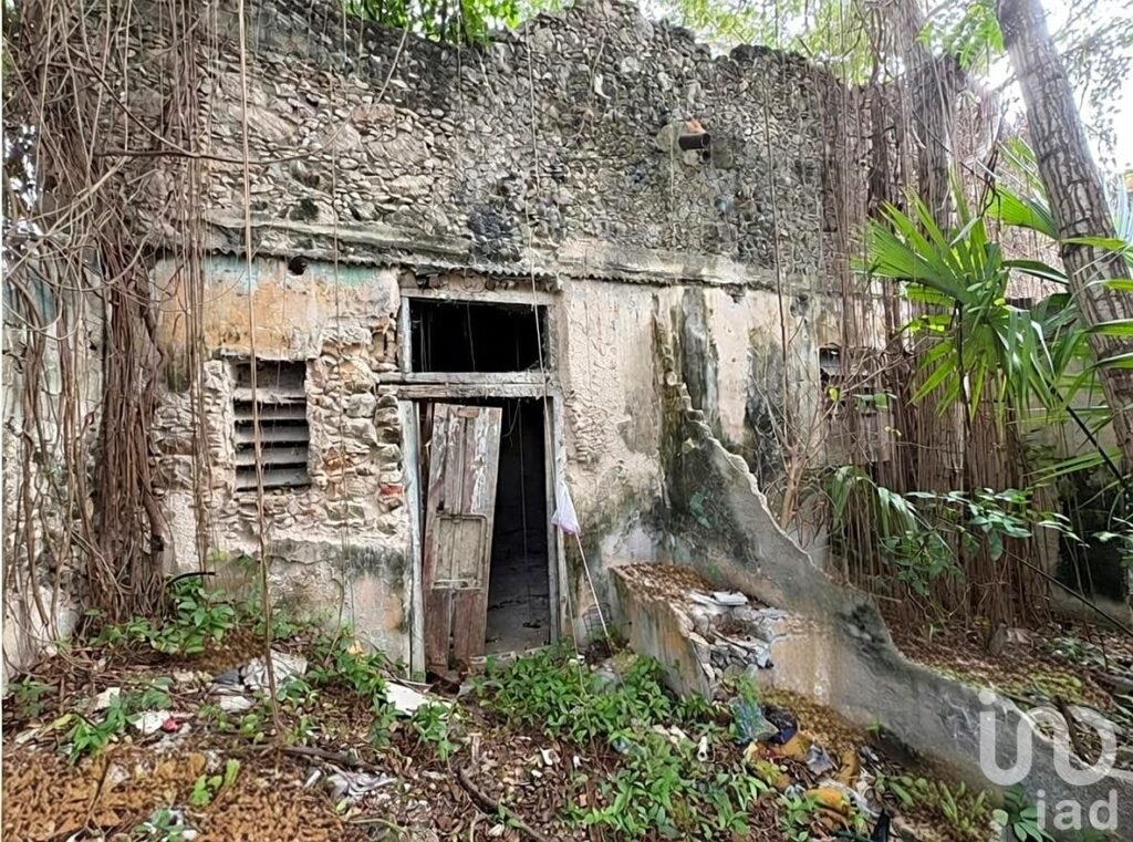 Propiedad en el Centro, Ideal para Inversionistas,