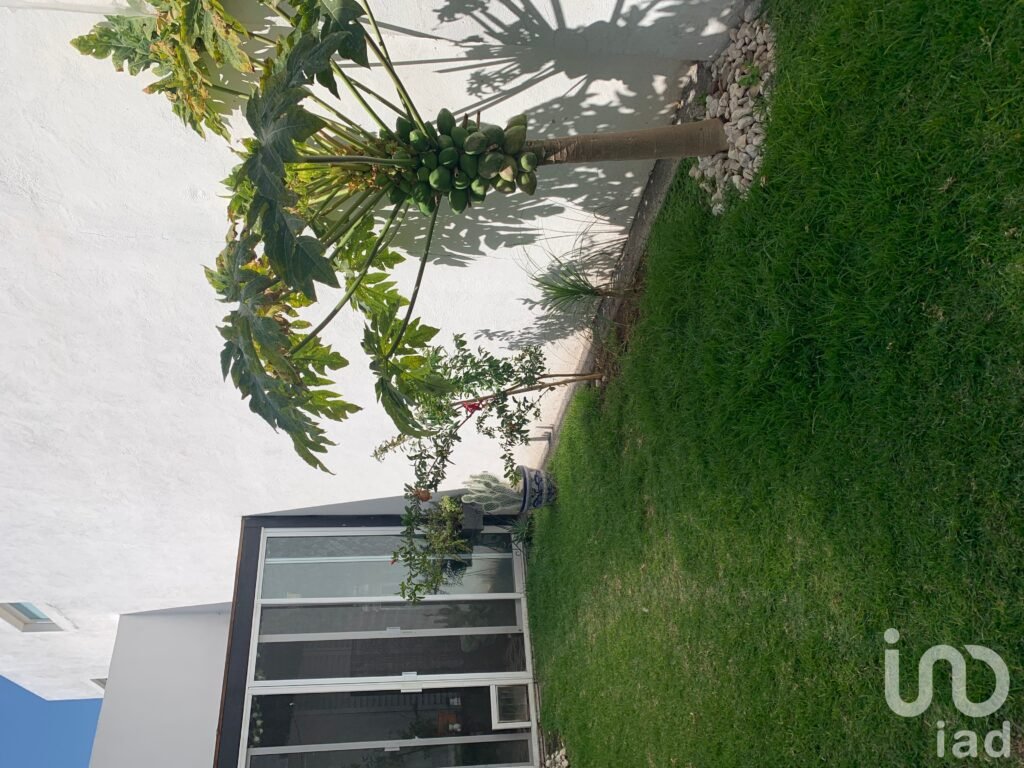 Casa una sola planta