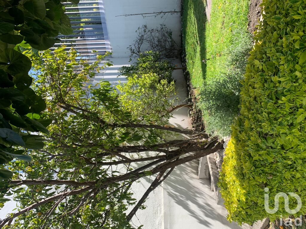 Casa una sola planta