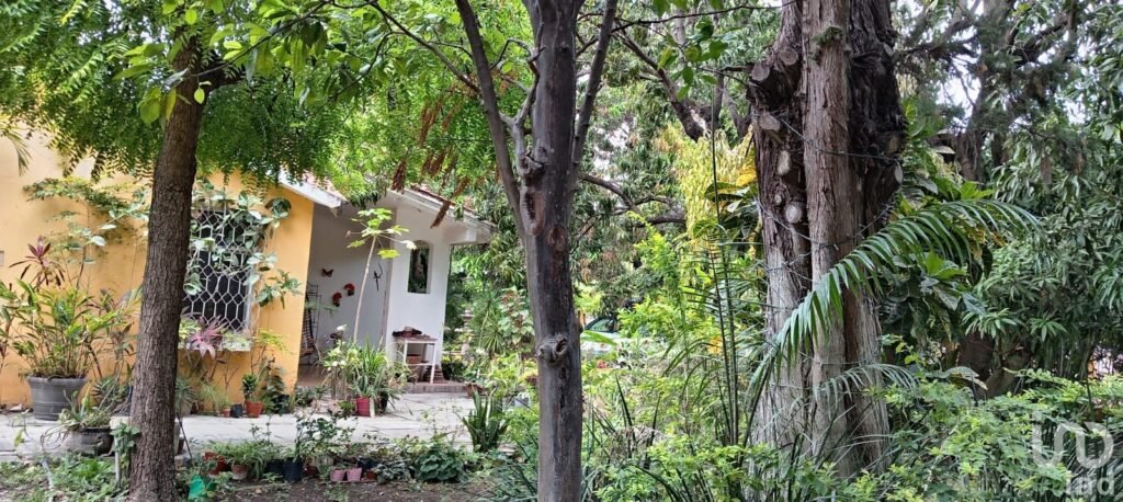 VENDO 2,188 m2 CON 45 METROS DE FRENTE SOBRE AVENIDA CHIAPAS, PLAN DE AYALA