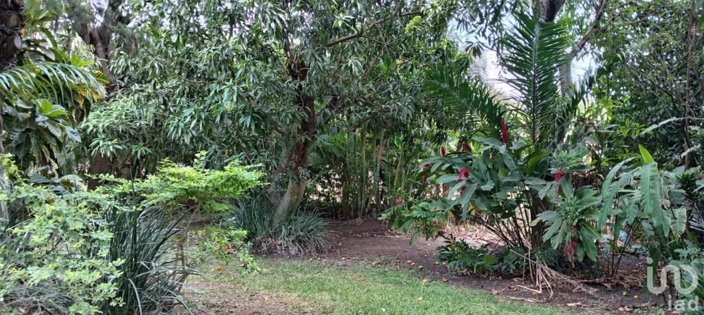 VENDO 2,188 m2 CON 45 METROS DE FRENTE SOBRE AVENIDA CHIAPAS, PLAN DE AYALA