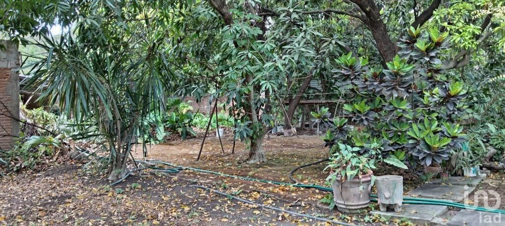 VENDO 2,188 m2 CON 45 METROS DE FRENTE SOBRE AVENIDA CHIAPAS, PLAN DE AYALA