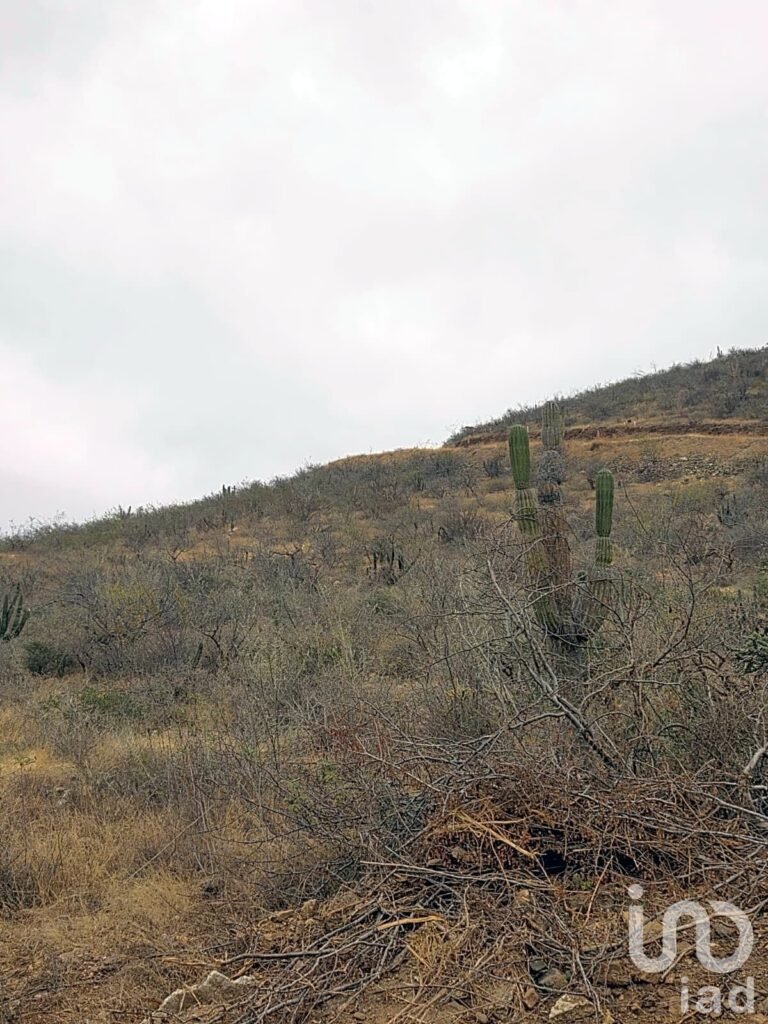 Lote vista Panoramica Pescadero