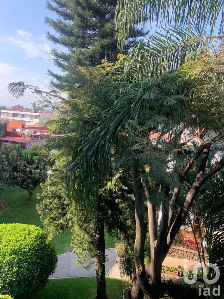 DEPARTAMENTO EN RENTA COL CUAUHNAHUAC FRACC LOS SILOS