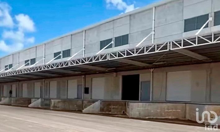Bodega Nueva, lista para operar