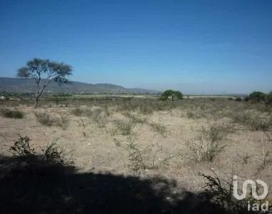 TERRENO EN VENTA, EN APASEO EL ALTO