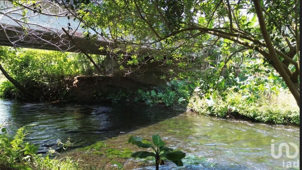 ROCA PARTIDA VERACRUZ