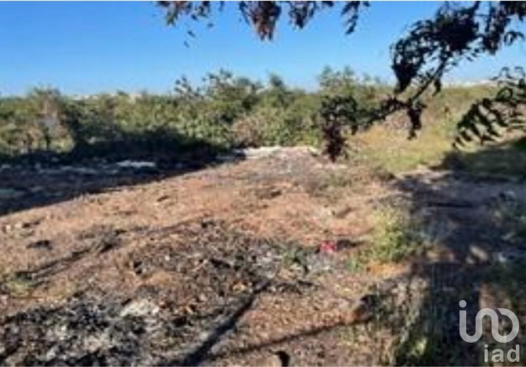 Terreno en Venta – Pedregal del Humaya, Culiacán, Sinaloa