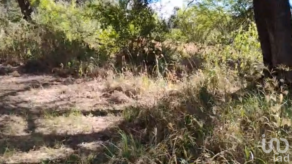 Terreno en Tierra Nueva a pie de carretera