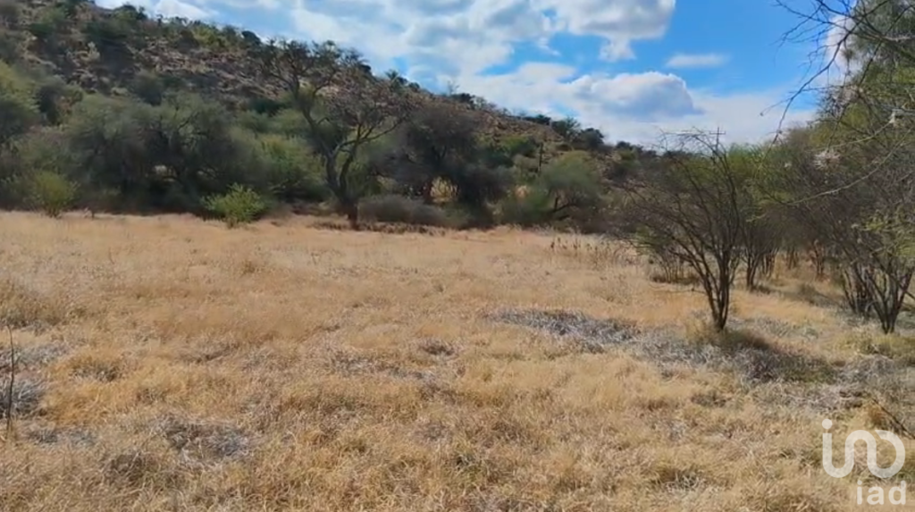 Terreno en Tierra Nueva a pie de carretera